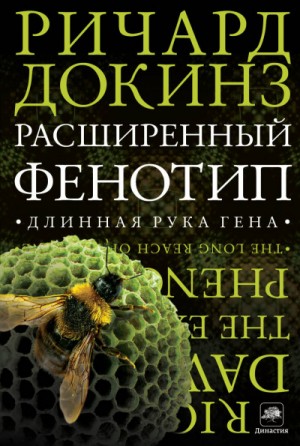 Расширенный фенотип: длинная рука гена
