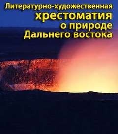 Солнце во все небо (Сборник)