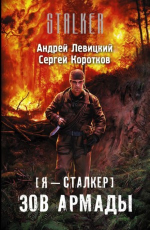 Я – сталкер 12; Стражи Армады 1: Зов Армады