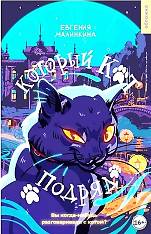 Который кот подряд
