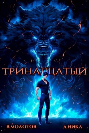Тринадцатый. Том IV