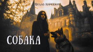 Собака