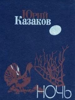 Ночь