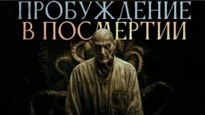 Пробуждение в посмертии