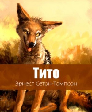 Тито – дочь степей