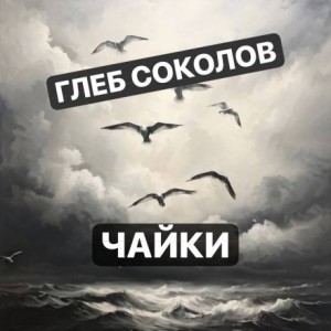 Чайки