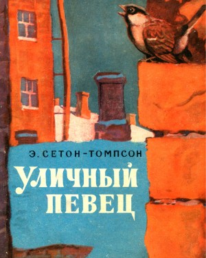 Уличный певец
