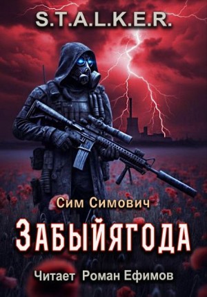 S.T.A.L.K.E.R. Забыйягода