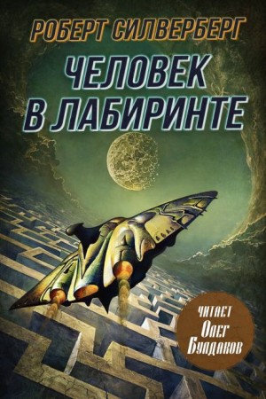 Человек в лабиринте