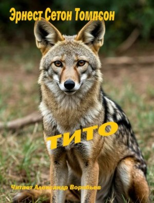 Тито – дочь степей
