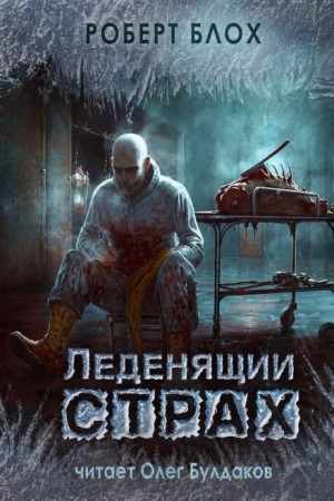 Жуки