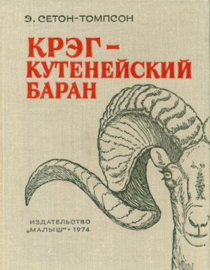 Крэг – кутенейский баран