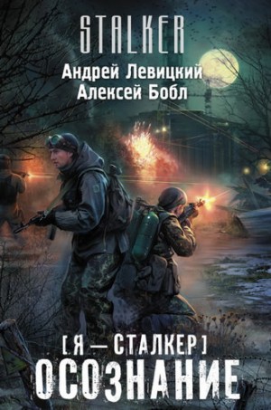 Я – сталкер 1; Атила 1: Осознание